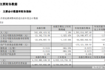 上市后三季报首亏，新诺威转型“阵痛”