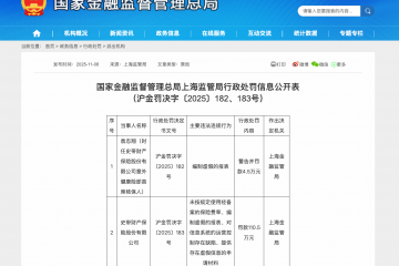 编制虚假的报表等，史带财险合计被罚115万元
