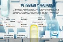 智驾双雄港股遇冷 行业仍在分化期