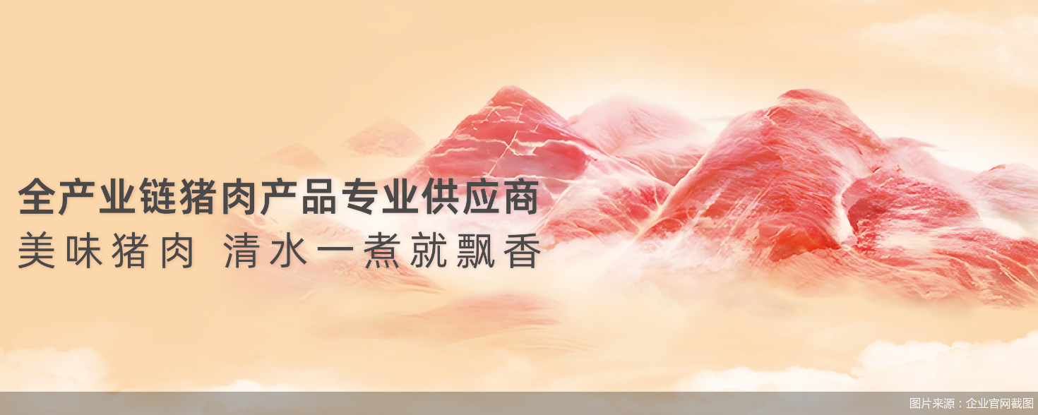 图片来源:企业官网截图