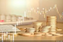 新发回暖，“日光基”频现！主动权益基金年内发行规模同比翻倍