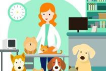 多家公司步入清算 宠物行业洗牌加速