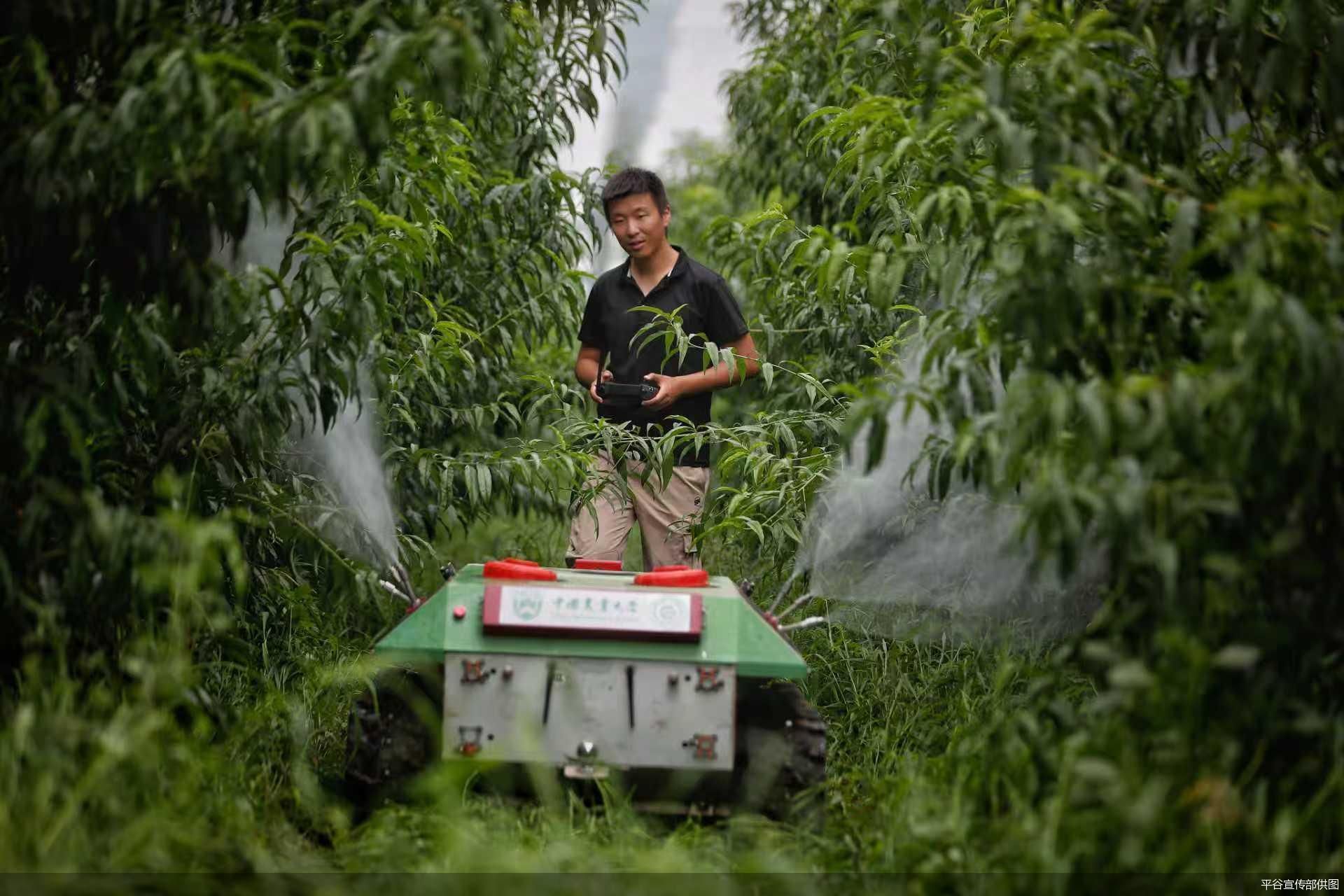 平谷宣传部供图