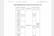 编制虚假财务资料，和谐健康乐山中心支公司合计被罚12.5万元