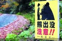 日本“熊害”发酵 防熊产品热销