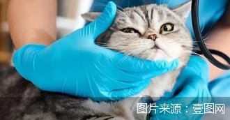 图片来源:壹图网