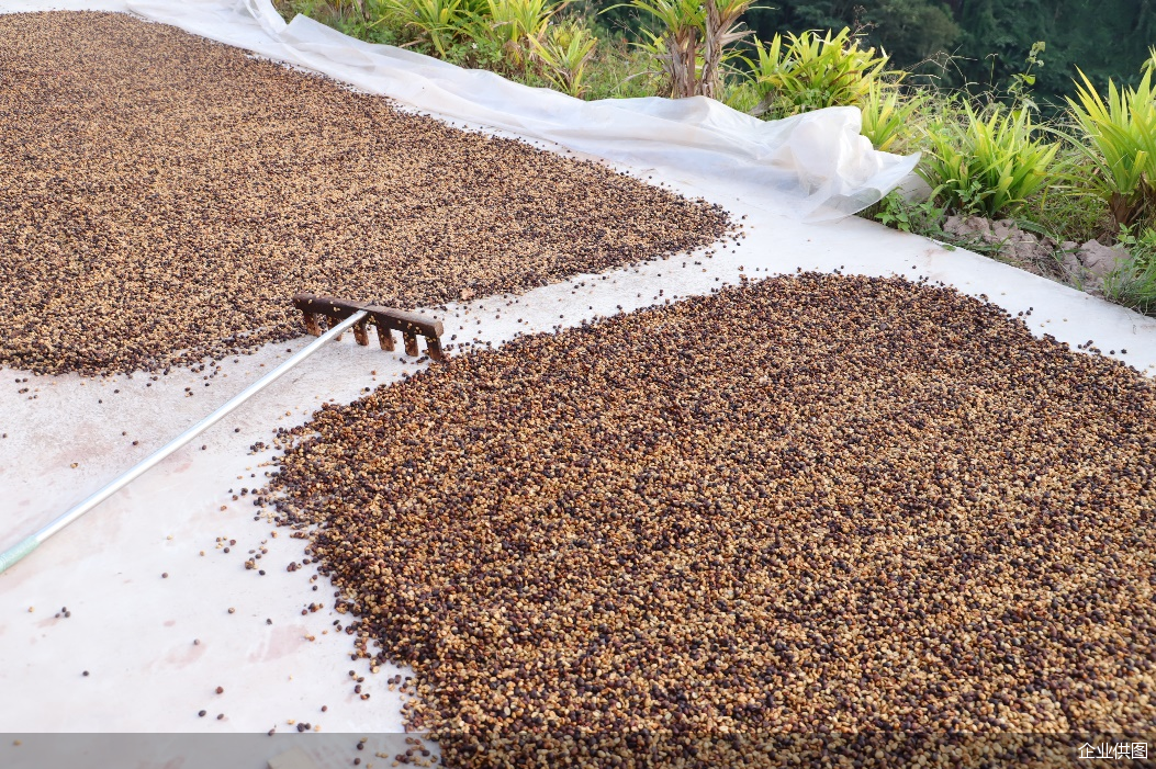 企业供图 企业供图