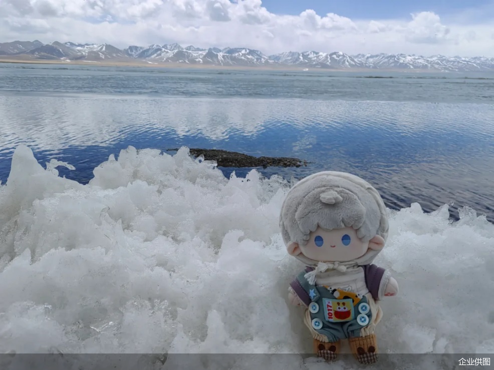 企业供图 企业供图