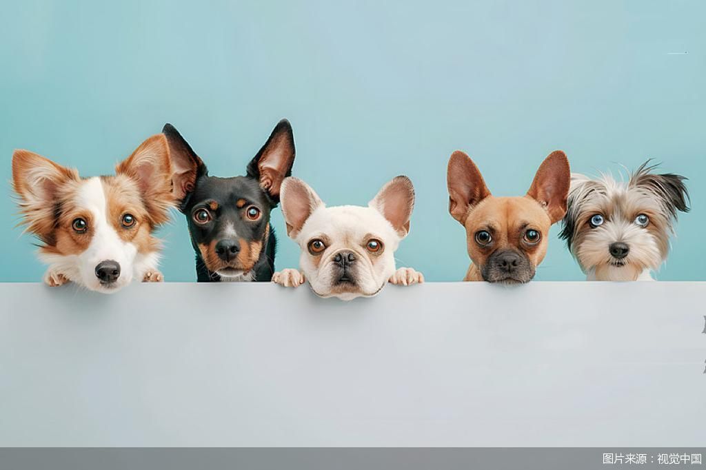 图片来源：视觉中国