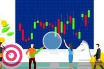 年内15股停牌核查 过半系风险警示股