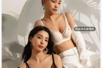 年底全面撤出内地市场，老牌内衣黛安芬败在哪