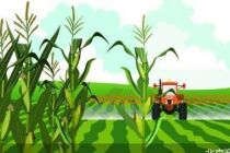 农户“必备品”补贴下达 农险扩面增品提标