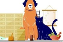 野蛮生长的宠物中医