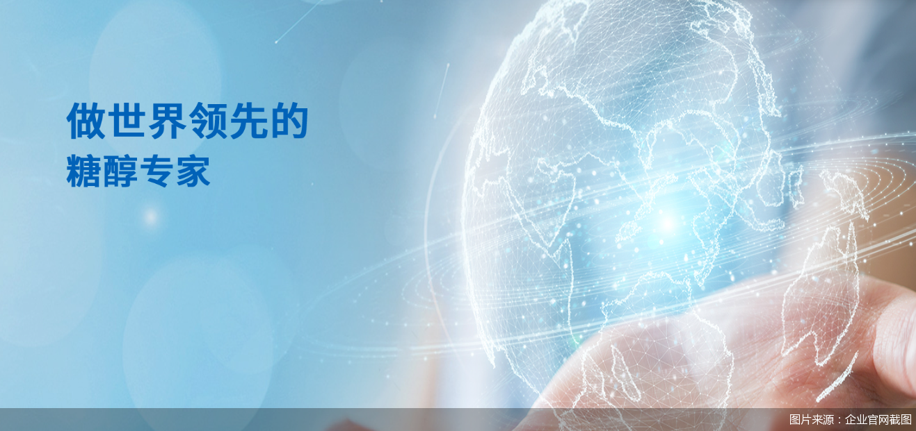 图片来源：企业官网截图