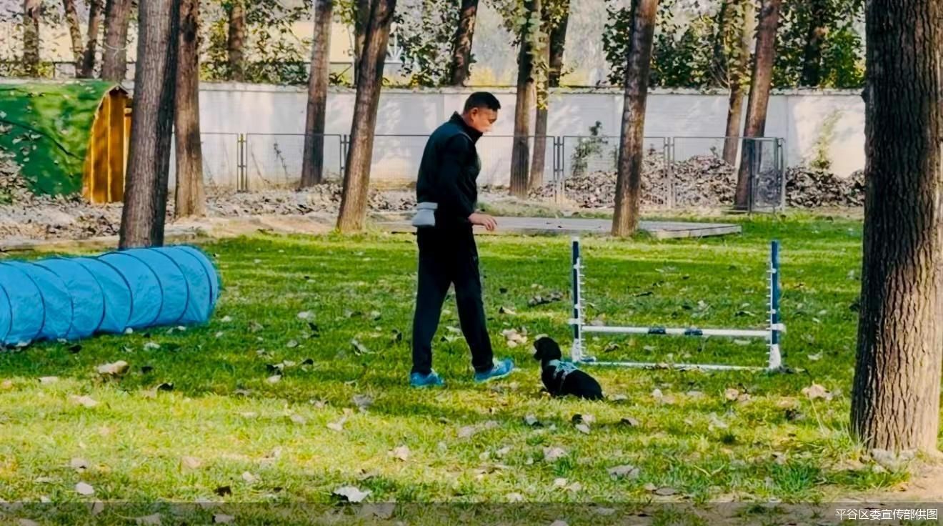 平谷区委宣传部供图