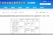 因财务业务数据不真实等，华农财险唐山中支合计被罚24万元