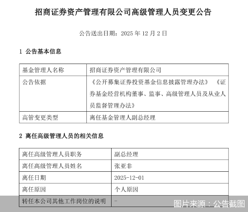 图片来源：公告截图