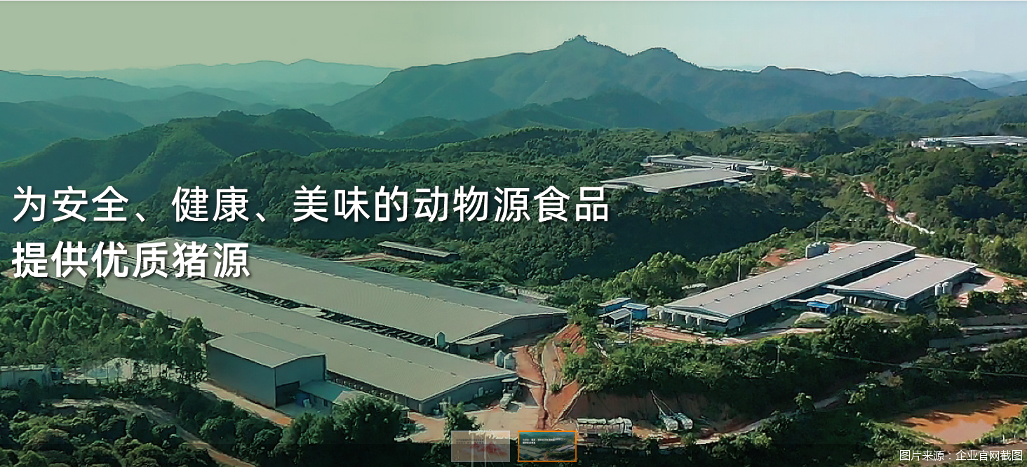 图片来源:企业官网截图