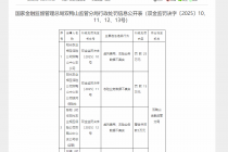 因农险业务数据不真实等，阳光农业相互保险两分支机构被罚