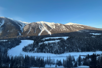 “雪假”催热国内亲子冰雪游：雪场酒店周末连续满房、青少年游客翻倍增长