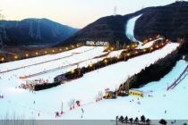 翻倍增长 “雪假”催热国内亲子冰雪游