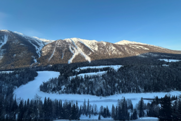 “雪假”催热国内亲子冰雪游：雪场酒店周末连续满房、青少年游客翻倍增长