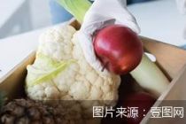 拟鼓励投保、建体系，食安险或迎新机遇