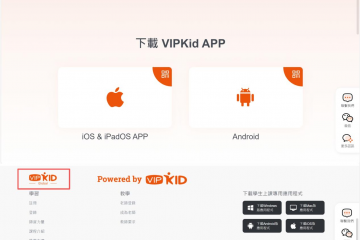 起底VIPKID“翻墙式教学”：境内卖课、境外账号上课