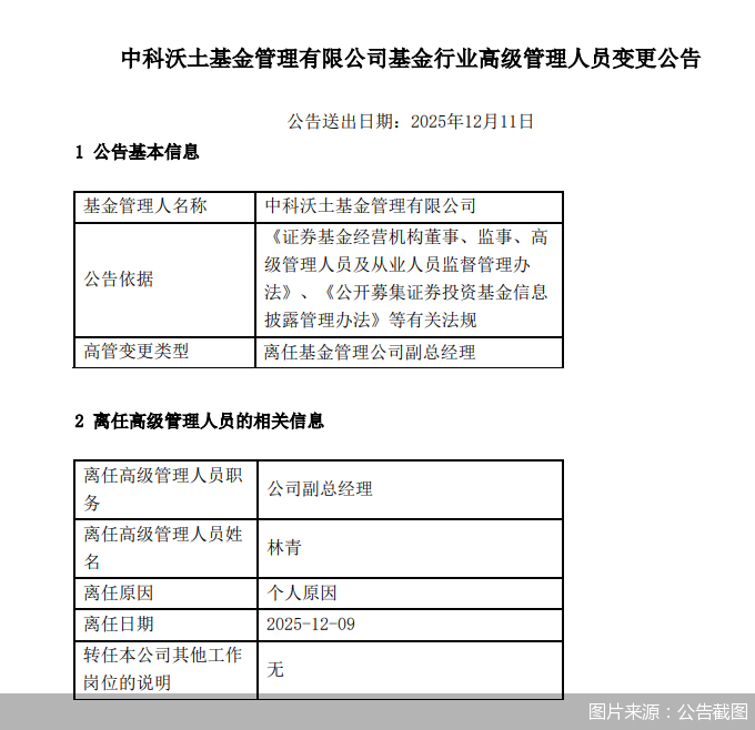 图片来源：公告截图