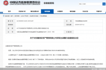 因未及时报送经审计的年度财务报告，安徽润京资产被监管警示