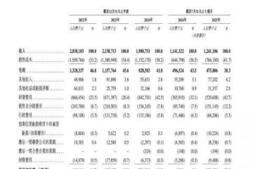 亏损压力下赴港“补血”，新诺威陷转型阵痛