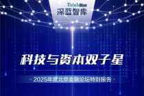 2025科技与资本报告｜创新药大爆发   