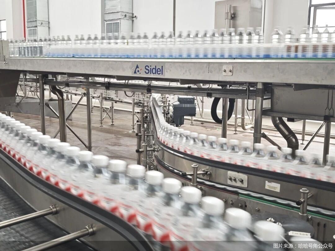 图片来源:哈哈号角公众号