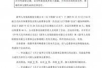 新华保险：选举杨玉成担任公司第九届董事会董事长