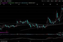 “H吃A”！优必选将拿下锋龙股份控制权，合计斥资16.65亿元
