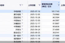 洞察2025｜A股硬科技领跑IPO，港股重回全球募资之巅