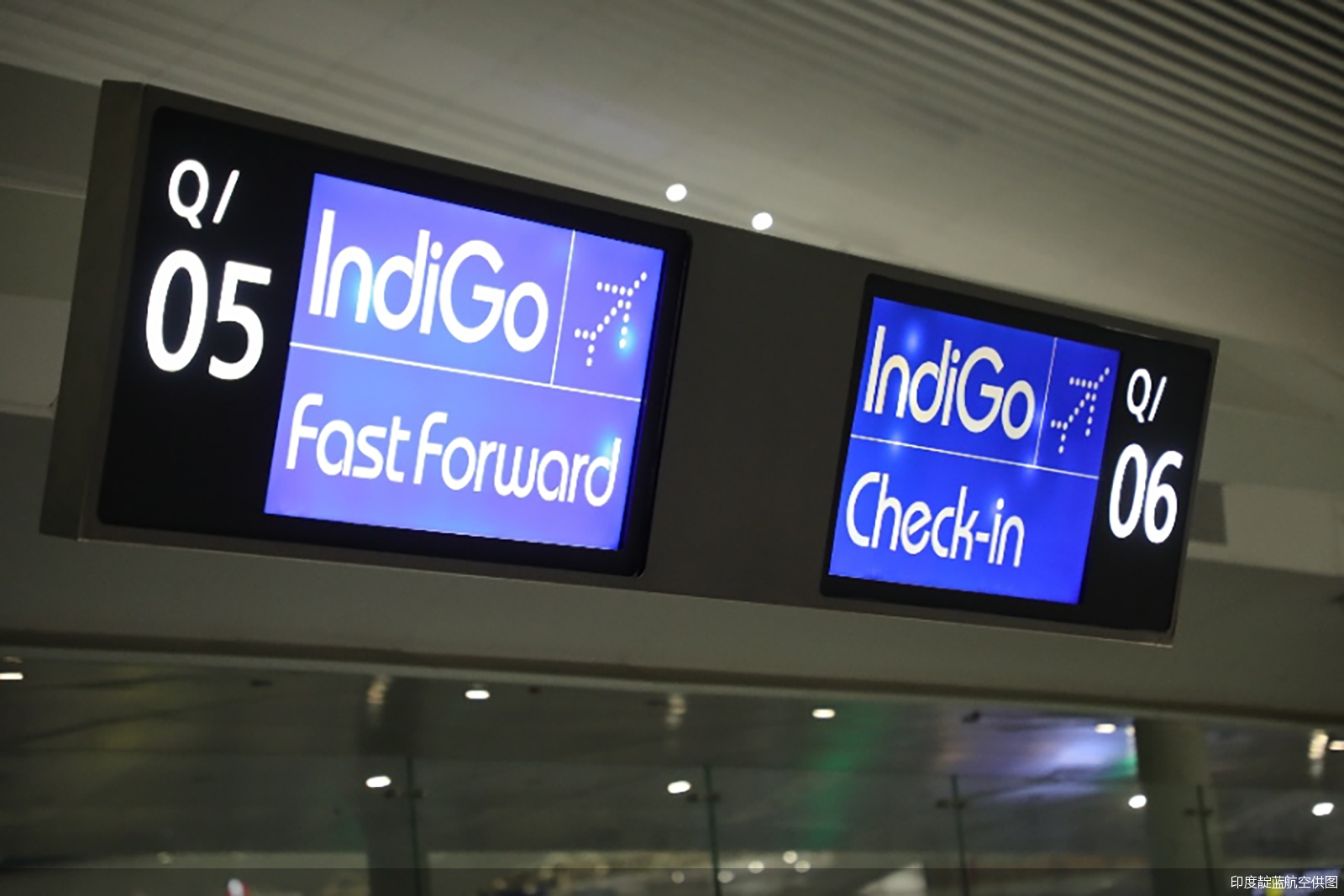 印度靛蓝航空供图