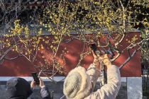 元旦假期第二天北京市属公园共迎来游客44.1万人次