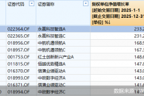 洞察2025｜超九成主动权益基金取得正收益！“两倍基”打破纪录夺冠