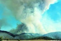 澳大利亚南部热浪引发林火