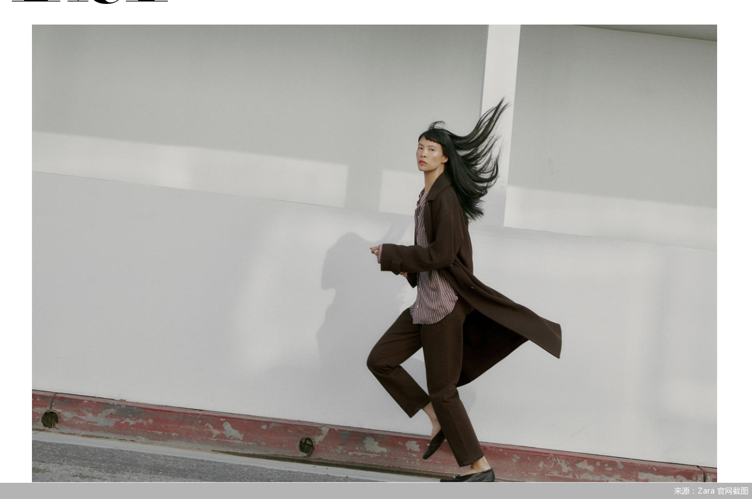 来源：Zara 官网截图