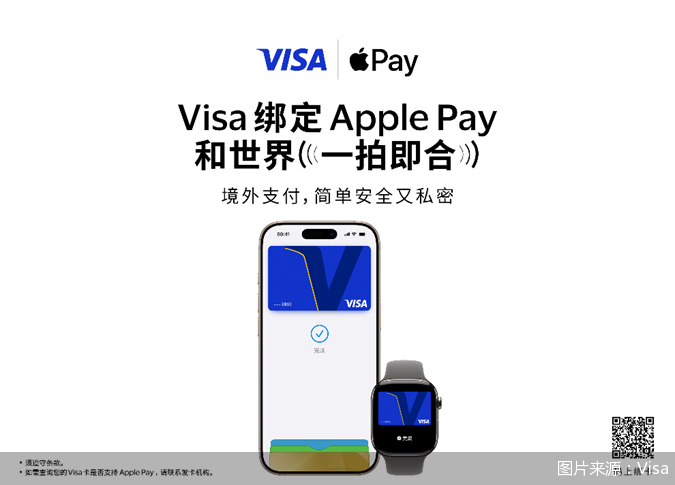 图片来源：Visa