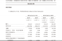 海外收入占比低，远信储能欲赴港IPO