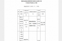 因编制虚假报表、资料等，瑞众人寿商丘中心支公司合计被罚36万元