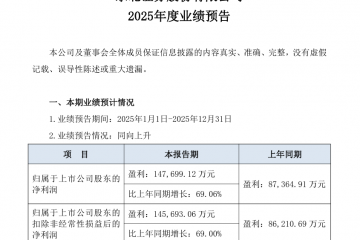 东北证券：预计2025年归母净利润14.77亿元，同比增长69.06%