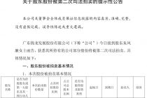 锦龙股份：股东朱凤廉所持的6300万股将被第二次司法拍卖
