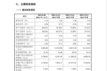 海外收入占比猛增、与宁德时代关系密切，恒翼能闯关创业板