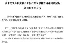 广发证券：获准向专业投资者公开发行不超过700亿元公司债券