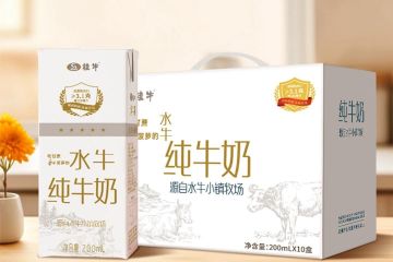 水牛奶遭“打假”，桂牛乳业的困局