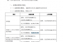 申万宏源：2025年归母净利润预计同比增长74.64%—93.83%